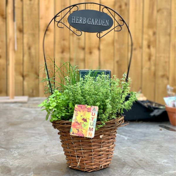 Herb Garden Basket 27cm