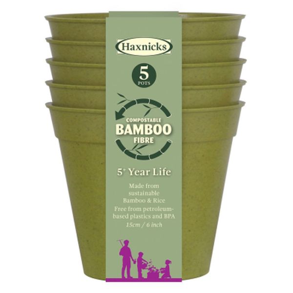 6" Bamboo Pot (5pk) Sage Green