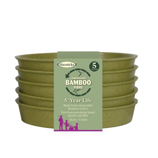 6" Bamboo Saucer (5pk) Sage Green