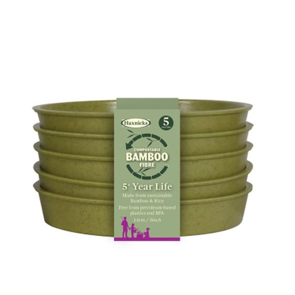 5" Bamboo Saucer (5pk) Sage Green