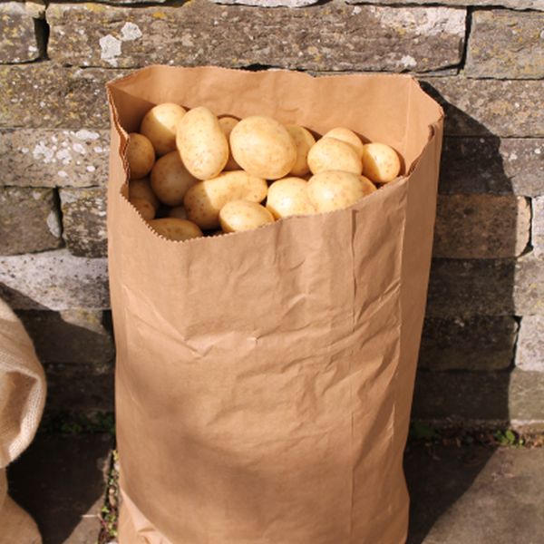 Paper Potato Sacks - Pack of 2