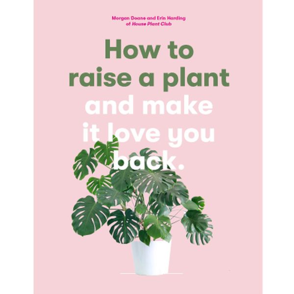 How to raise a plant