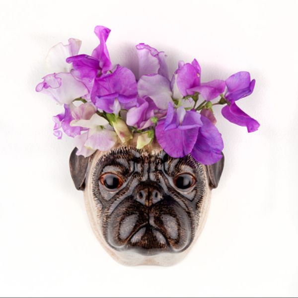 Pug Small Wall Vase