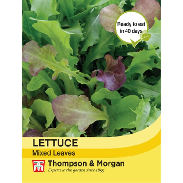 T&M Lettuce Leaves Mixed