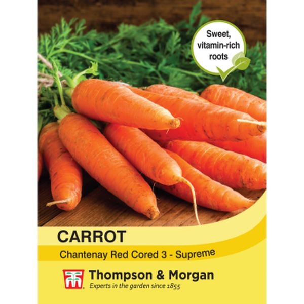 T&M Carrot Chantenay Red Cored 3 - Supreme