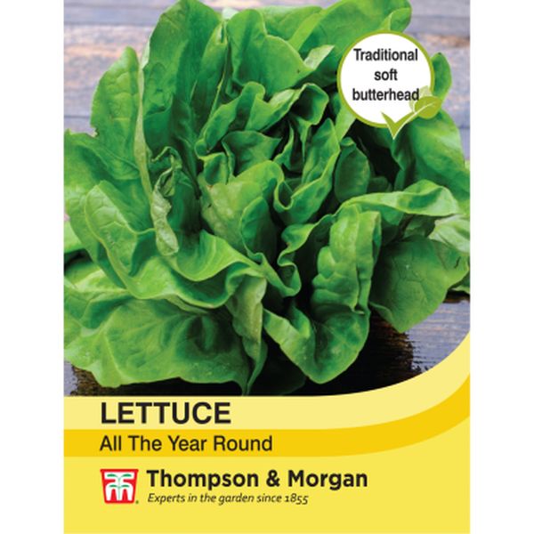T&M Lettuce All Year Round
