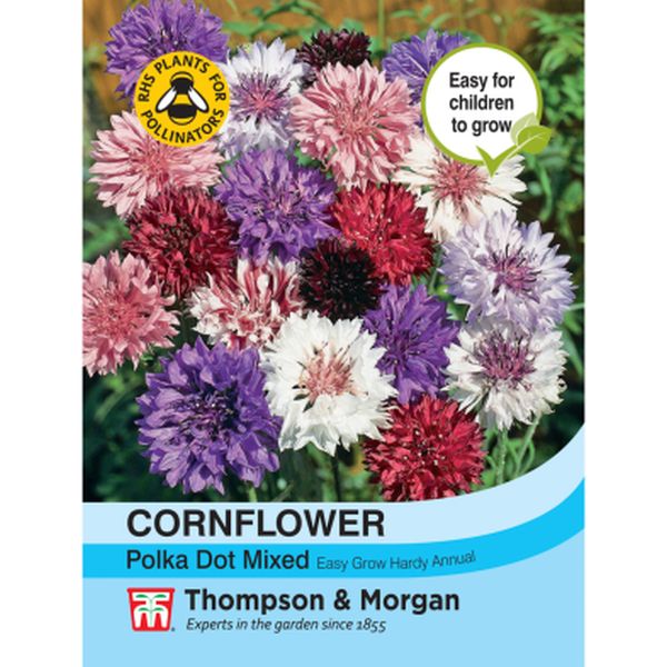 T&M Cornflower Polka Dot Mixed