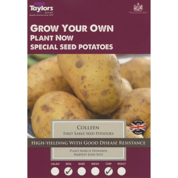 Colleen Seed Potatoes - First Early Pack of Ten