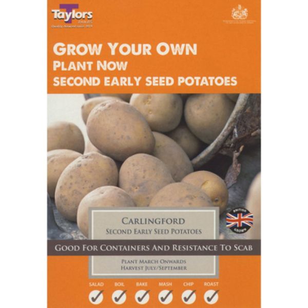 Carlingford Seed Potatoes - Second Early Pack of Ten
