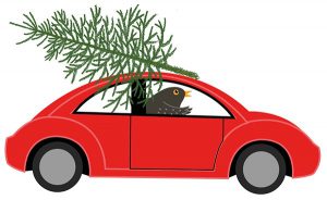 An illustration of blackbird Twiggy in a red beetle car with a christmas tree on the roof of the car