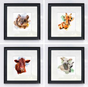 A quartet of black framed photograph prints of animals by Lee Atherton Photography
