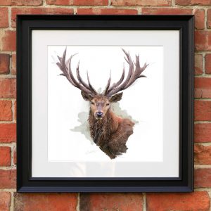 A photograph of a deer with antlers on a white background and in a black frame, hanging from a brick wall
