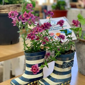 A pair of stripy blue and white wellington boots planted with purple flowers