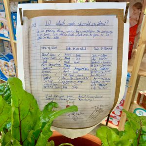 A piece of lined paper with a child's handwritten list in blue ink detailing which seeds to plant