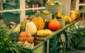 A wooden cart with green metal wheels displays a selection of orange, yellow and white gourds and pumpkins.